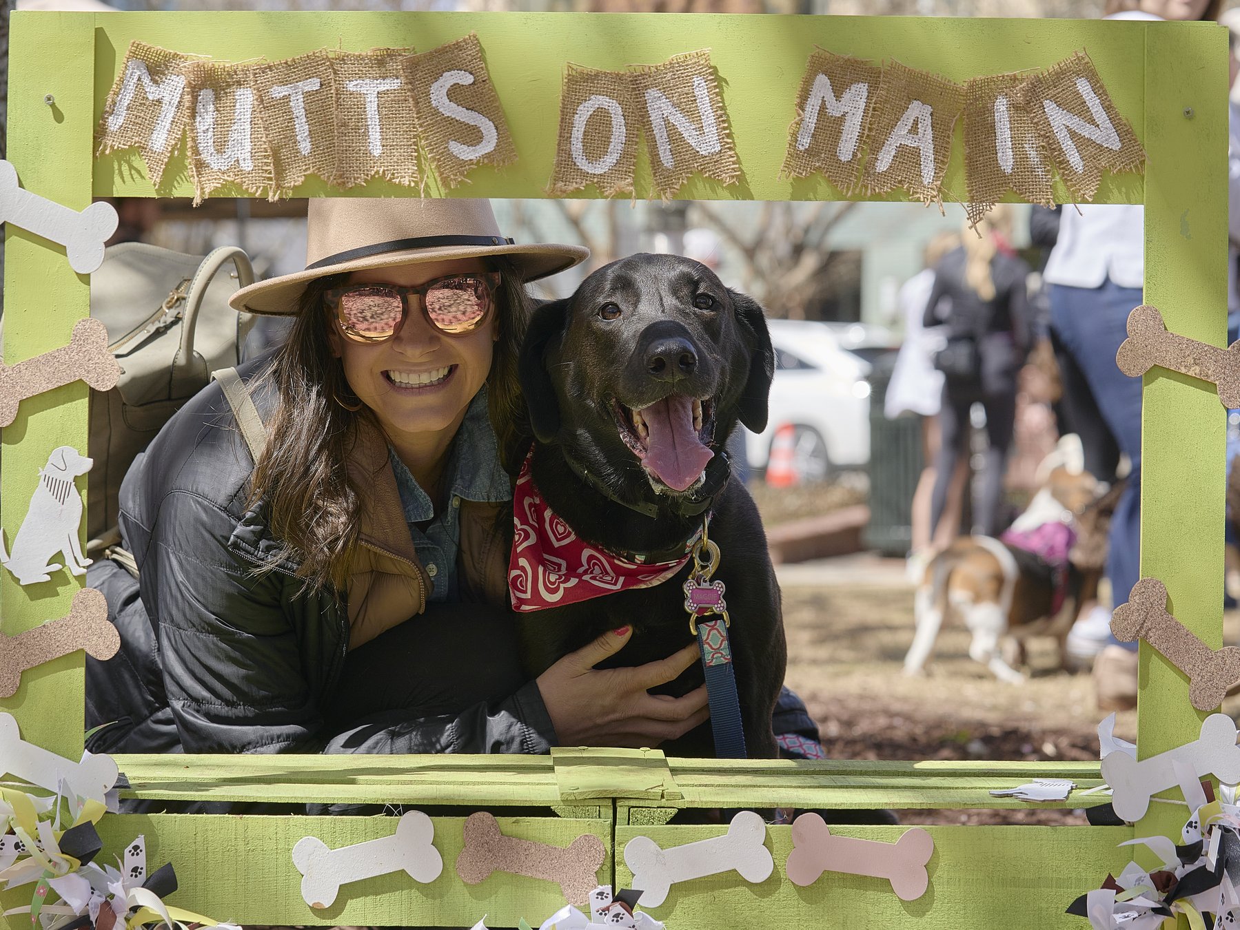 Meet the good dogs of Gainesville at this downtown event Gainesville