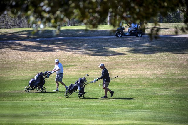 What's The Temperature In Gainesville