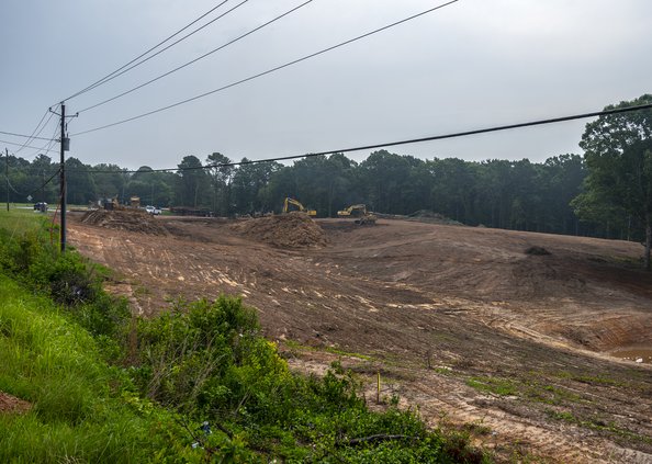 06302023 BLOSSOM 1.jpg