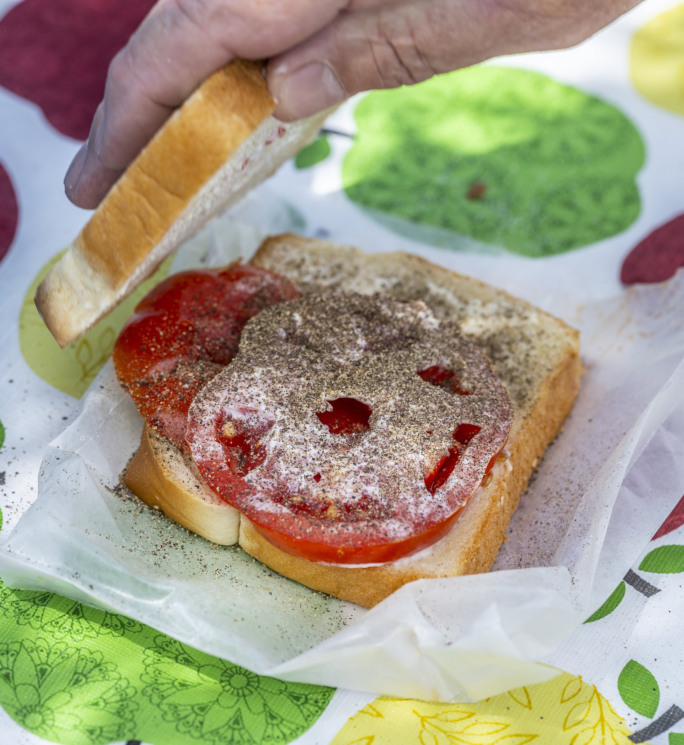 PHOTOS Fifth annual Flowery Branch tomato sandwich party Gainesville