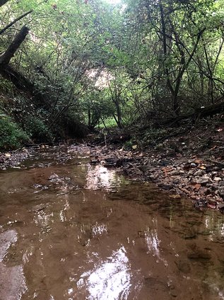 08202020 SQUIRELLCREEK 1.jpg