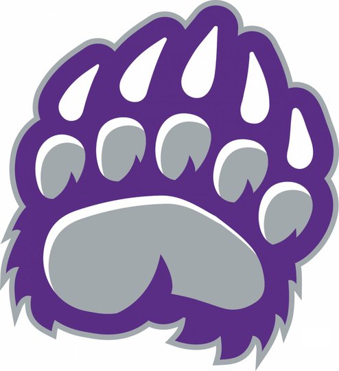 High school football: Cherokee Bluff tops Lumpkin County in opener