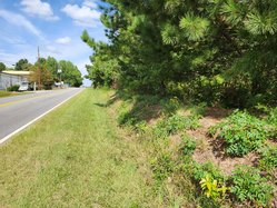 10062023 BIOENERGY 1.jpg