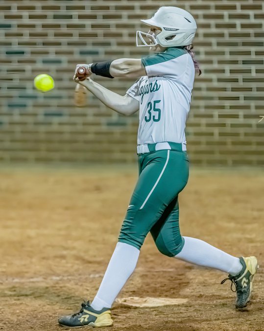 High school softball playoffs North Hall falls to Sonoraville in