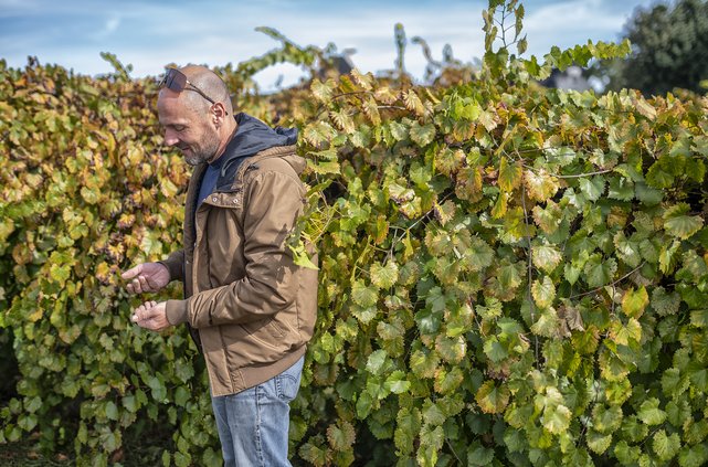 10272023 BERGESE 7.jpg