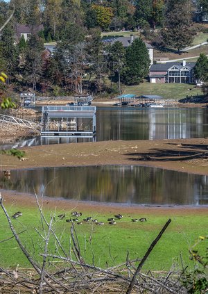 11022023 LAKELEVEL 1.jpg