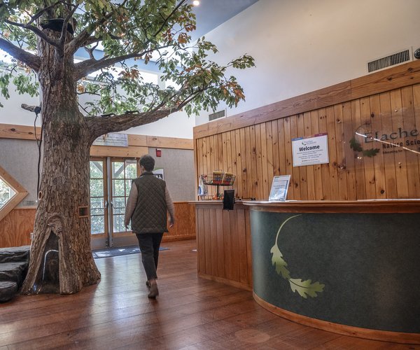 11032023 ELACHEE 1.jpg