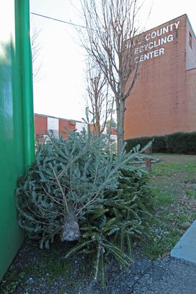 123020 brfCHIPPER 1.jpg