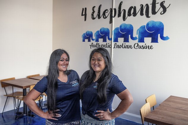 03142024 ELEPHANTS 1.jpg