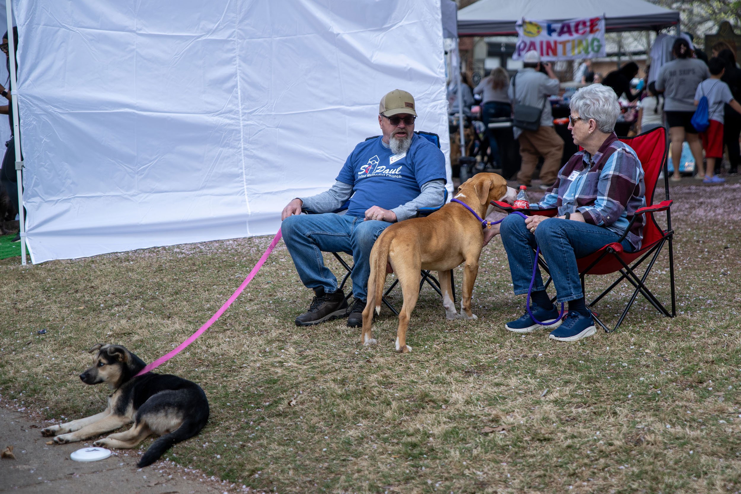 PHOTOS Mutts on Main 2024 Gainesville Times