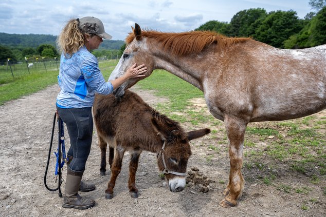 05082024 DAYDREAM 4.jpg