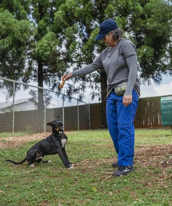 06122024 HUMANESOCIETY 1.jpg