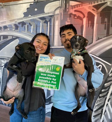 Homeless Pets.jpg