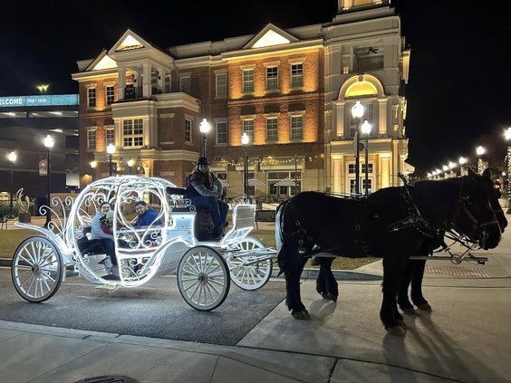 Carriage Rides.jpg