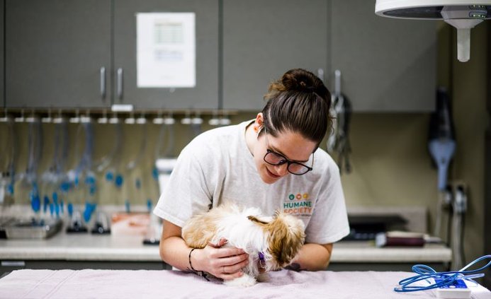 Healthy Pet Clinic Exam.jpg