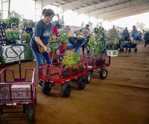 04052025 MASTERGARDENERS 1.jpg