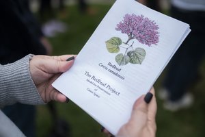 04232025 EARTHDAY 2.jpg