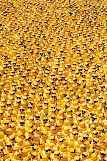 Thousands of rubber ducks to race for a cause at 2025 Duck Derby