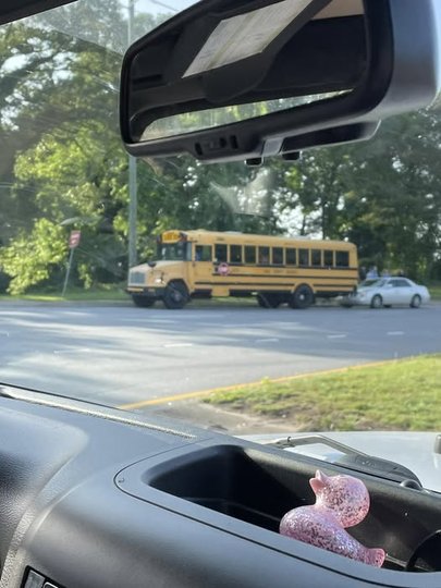 2 Hall County school buses involved in separate collisions