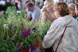 04052025 MASTERGARDENERS 11.jpg