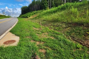 08152025 PLANT 1.jpg