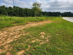 08202025 FLOWERYBRANCHPD 1.jpg