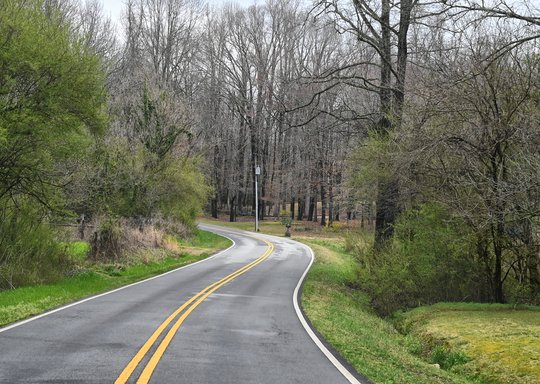 Motorcyclist slid, hit tree in Southers Road fatal crash, authorities say