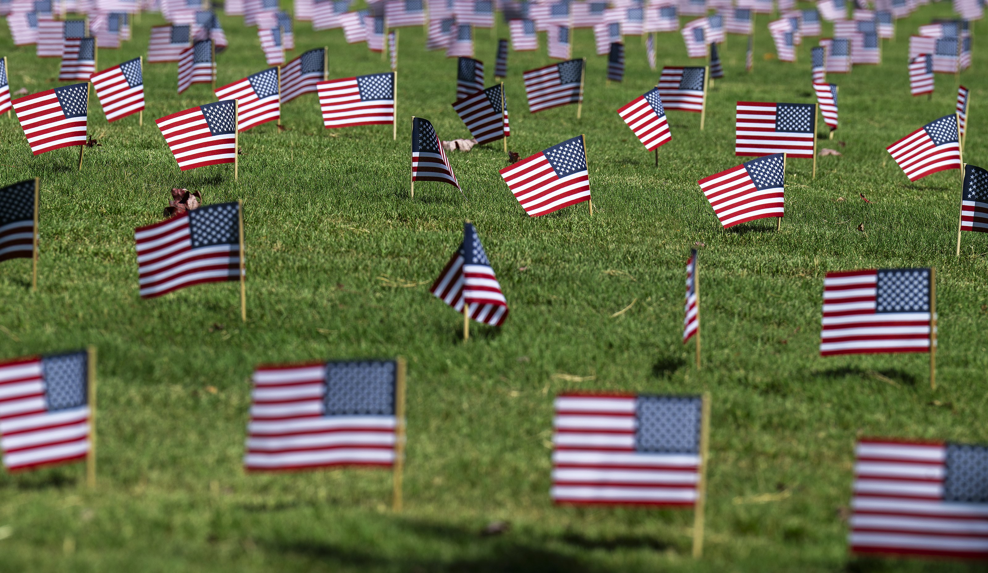 09112025 FLAGS 4.jpg