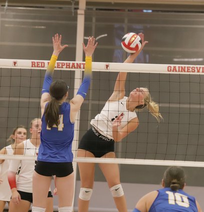 Volleyball2.jpg