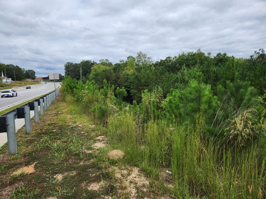 500-plus apartments and townhomes proposed off Spout Springs Road in Flowery Branch