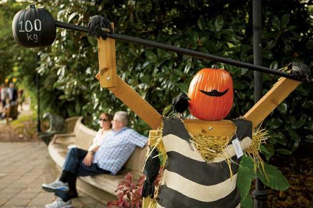 0929-GO-SCARECROWS1 