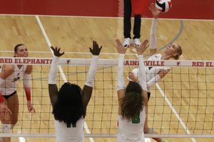 Volley3.jpg
