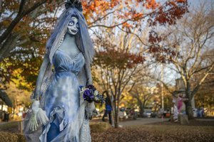 10302024 SCARECROWCONTEST 1.jpg