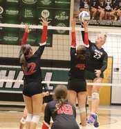 Volleyball3.jpg