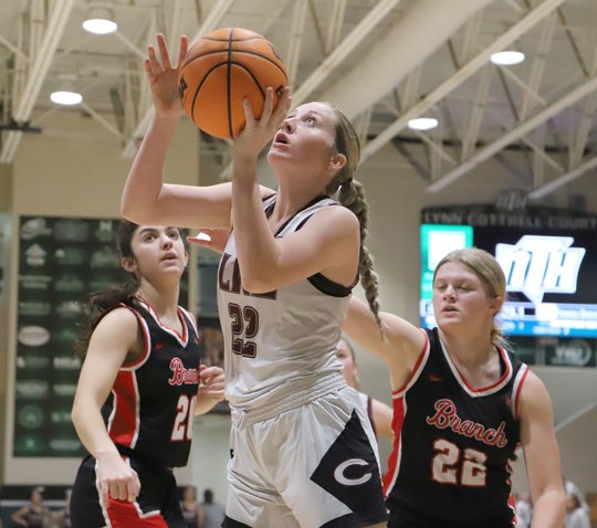 High school basketball: Girls team previews for all 10 programs in Hall County