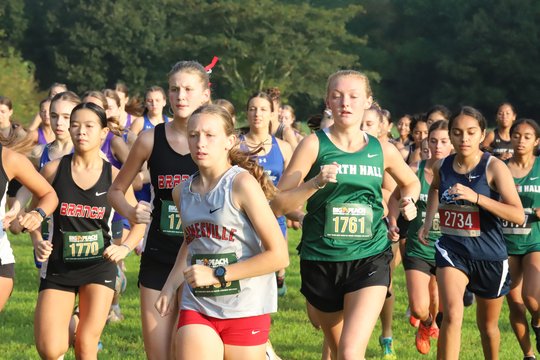 High school cross country: Gainesville's Lee takes Top 20 finish at state championships