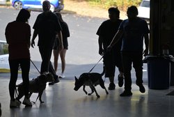 11092025 PISTONSANDPAWS 2.jpg