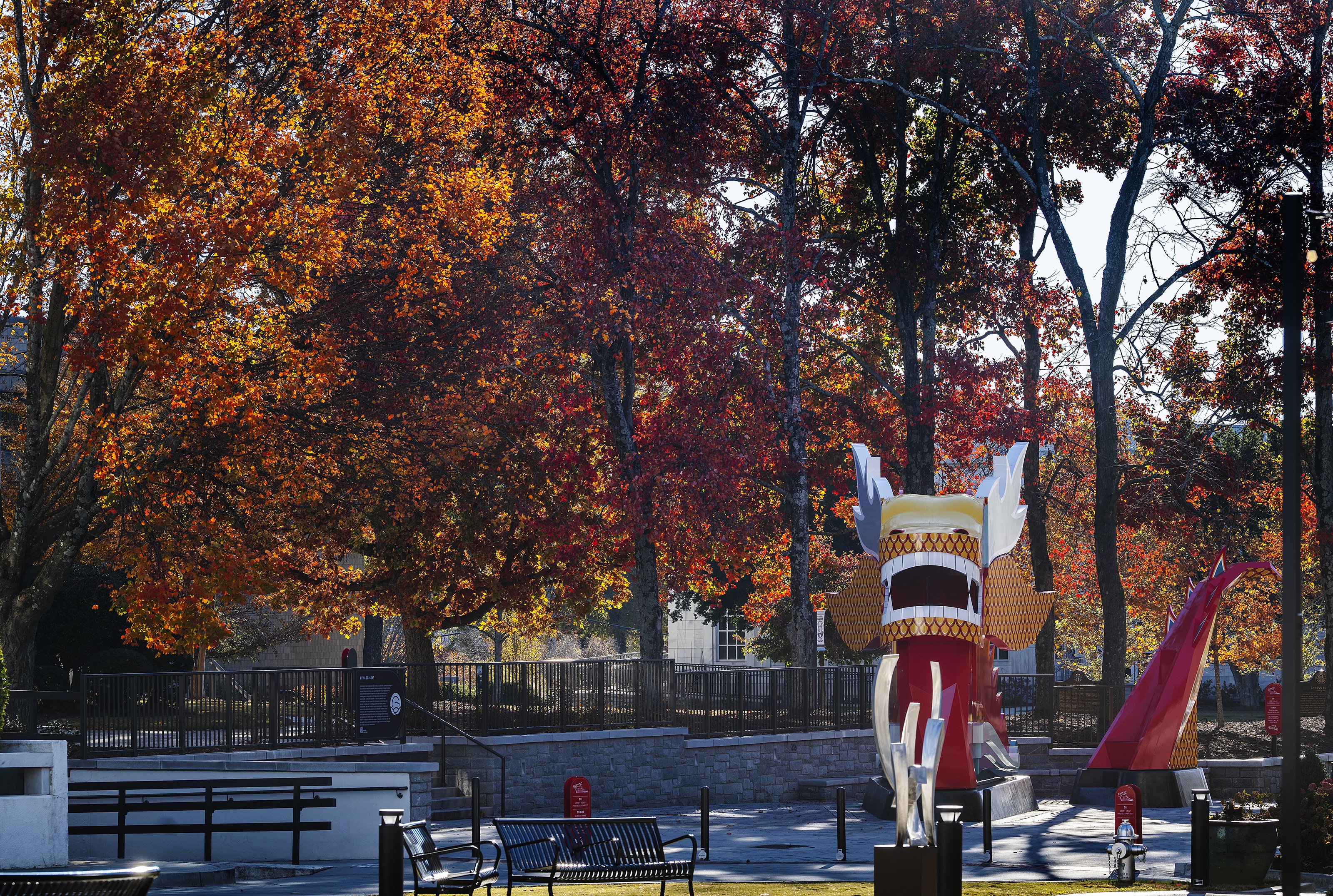 11122025 FALLCOLOR 10.jpg