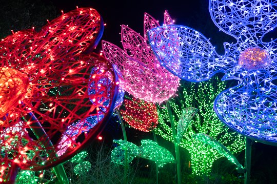 Atlanta Botanical Garden in Gainesville shines with 12 miles of lights for new holiday show