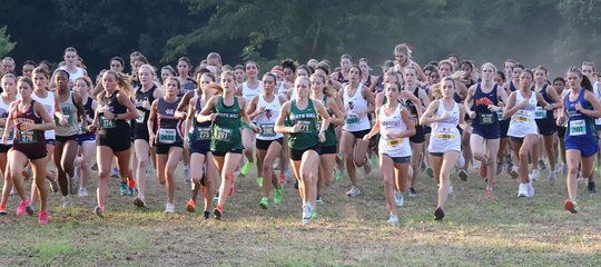 High school cross country: Girls All-County