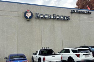 Koch Food in Cumming