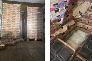 12042025 BLACKBERRIES