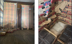 12042025 BLACKBERRIES