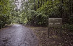 05242022 SIMPSON 4.jpg