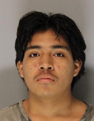 Hoschton teen faces multiple charges after fleeing traffic stop ...