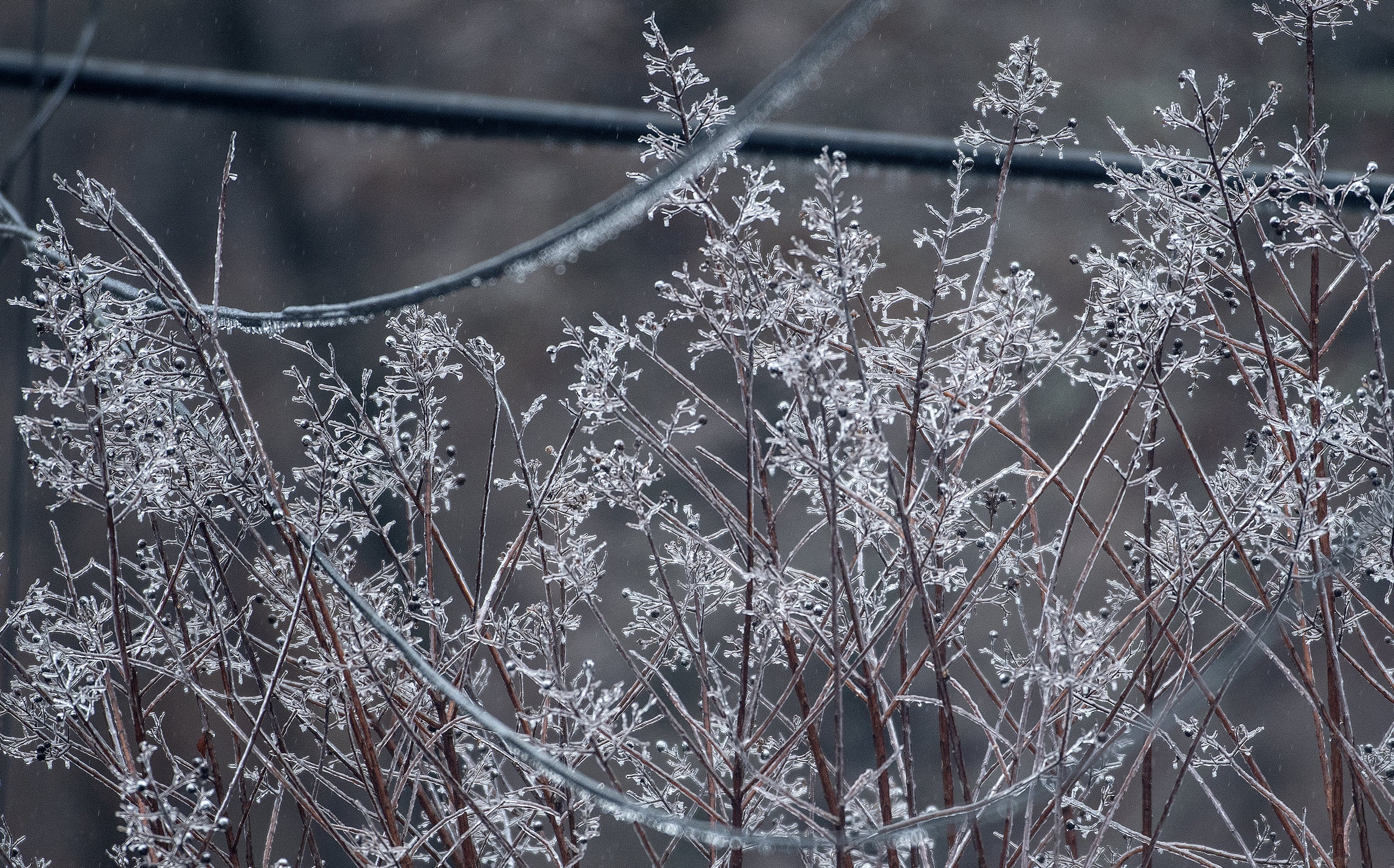 01252026 SUNDAYWEATHER 5.jpg