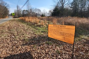 02042026 HOGMOUNTAIN 1.jpg