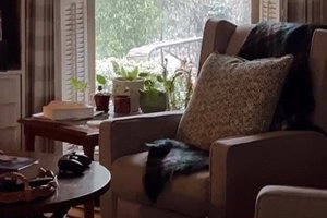 Snow in Flowery Branch