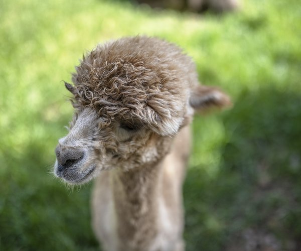 WILDLIFEflight 5.jpg