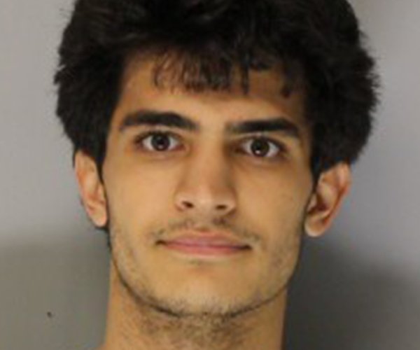 PARSA ROBERT BOJNORDI.jpg